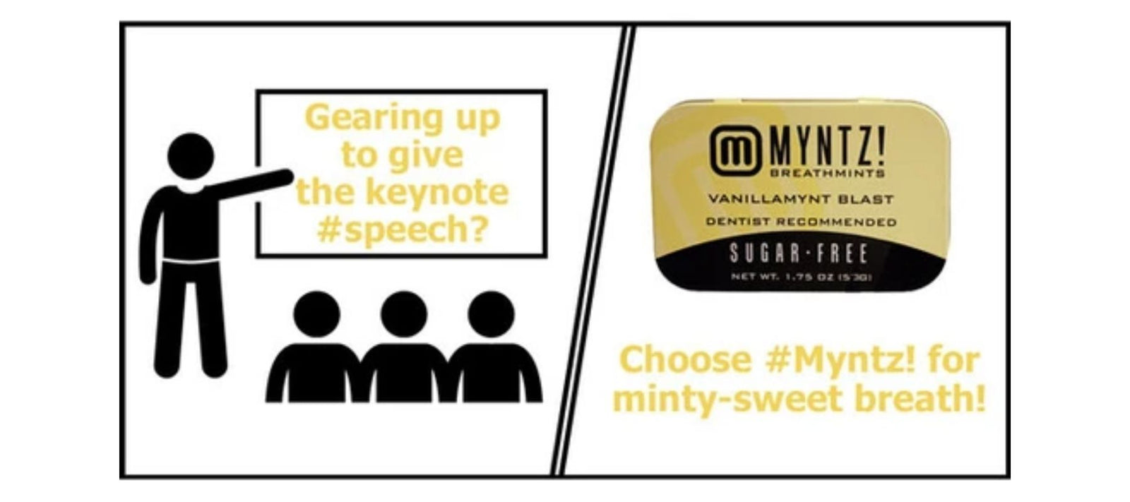 VanillaMyntz 3 Quick Tips for Giving a Great Presentation