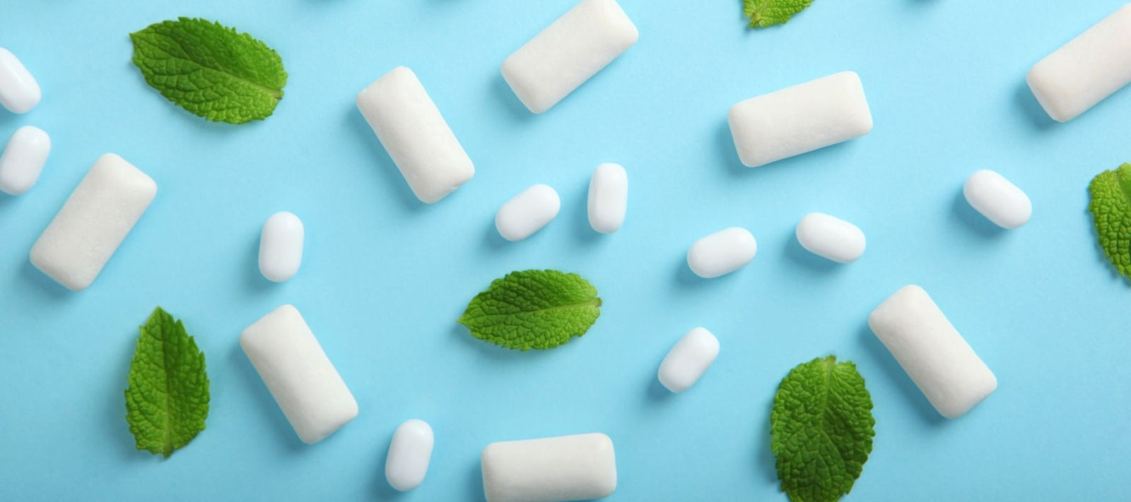 Myntz Breathmints WinterMynt Blog Banner Featuring Peppermint and White Mints and Gum