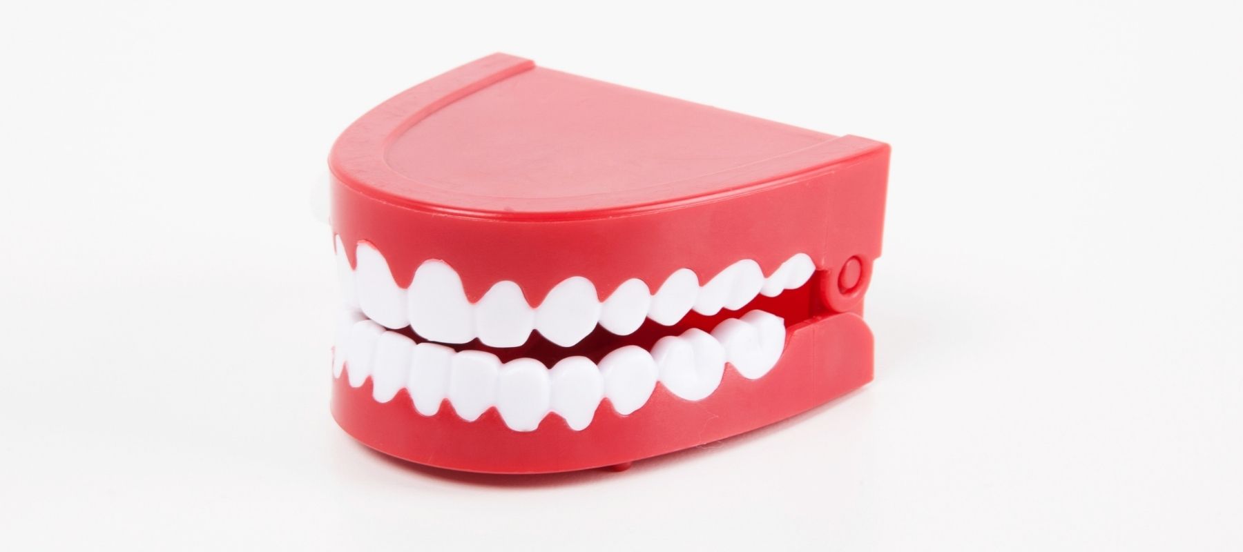 Wind-up teeth against a plain white background