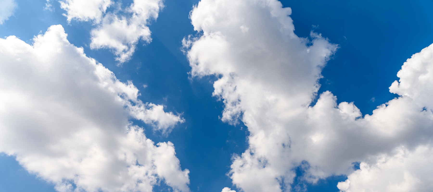 Breath of Fresh Air The Official Blog From Myntz!